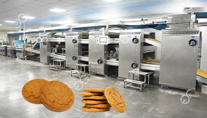 Línea automática de procesamiento de tiras de jengibre