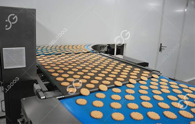 Línea de procesamiento de galletas con forma de huevo Línea de procesamiento de galletas con forma de huevo
