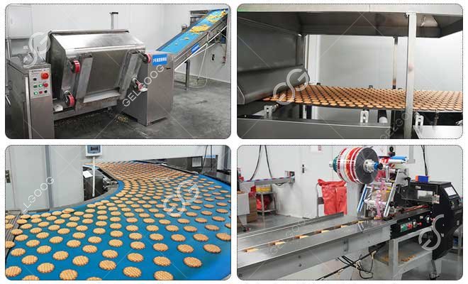 Línea de producción de galletas con chispas de chocolate Línea de producción de galletas con chispas de chocolate